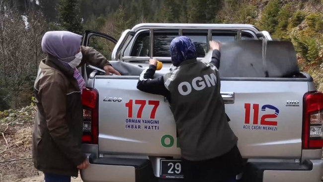 Gümüşhane ormanlarını kadın ormancılar koruyor